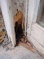 edencottages - 5181.jpg